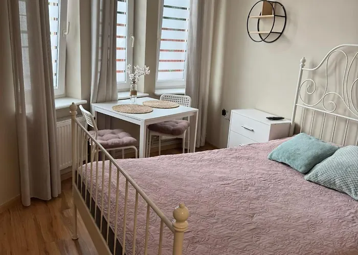 招待所 Stacja Do Wynajecia 索波特