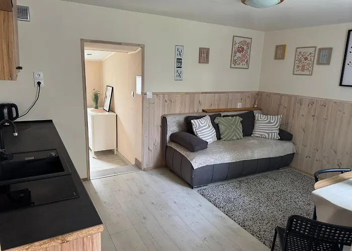 Stacja Do Wynajecia 3* 索波特