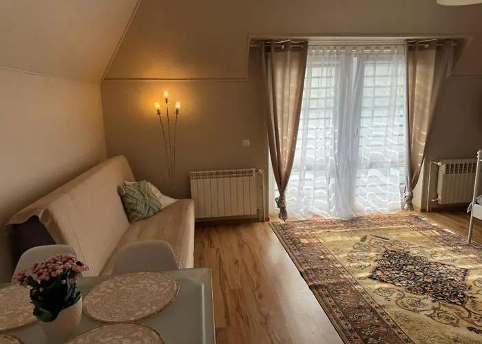 Stacja Do Wynajecia 3* 索波特