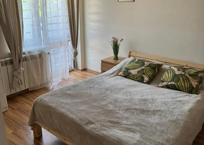 Stacja Do Wynajecia 招待所 索波特