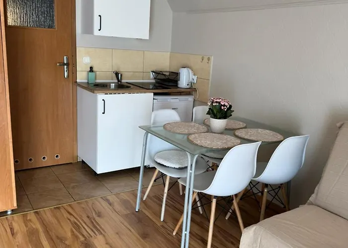 招待所 Stacja Do Wynajecia 索波特