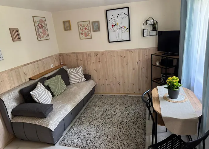 招待所 Stacja Do Wynajecia 索波特